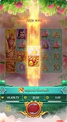 rp6 · Lgd Monkey Kg