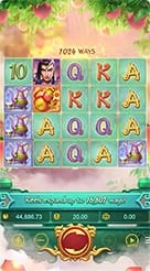 rp6 · Lgd Monkey Kg